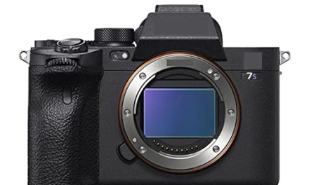 Powerful Full Frame Micro Single Camera for Professional Photography