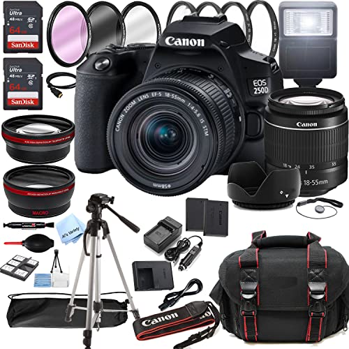 Capture Life’s Moments with Canon EOS 250D Camera Bundle