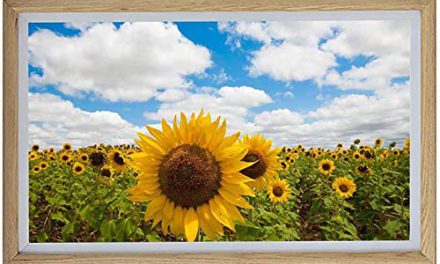 Share Your Memories: Stunning Wooden Digital Picture Frame