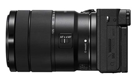 Capture the Moment: Sony A6600 with 18-135mm Lens