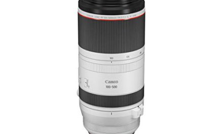 Capture Incredibly Detailed Shots with Canon’s RF 100-500mm Super-Telephoto Lens