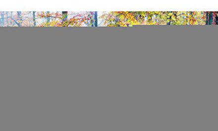 “Capture Enchanting Autumn Forest in 10x8ft Backdrop!”