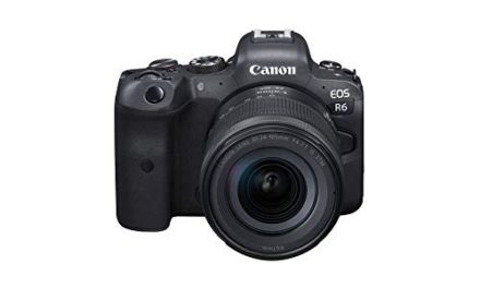 Capture the moment with Canon EOS R6 camera + RF24-105mm lens