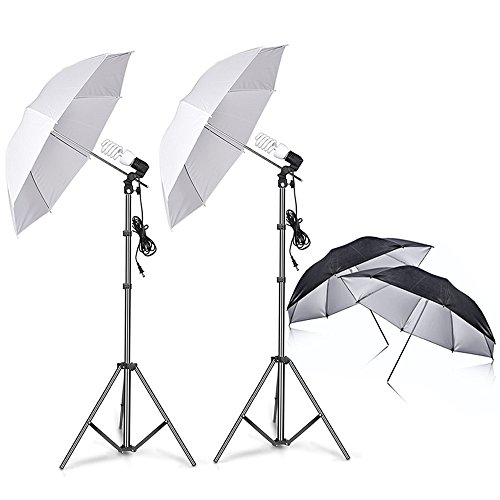 Capture Stunning Photos with the Sizzling Dolphin Lighting Kit