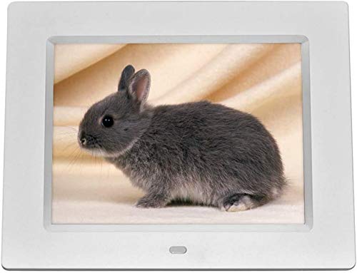 Enhance Memories with 8″ HD Digital Photo Frame