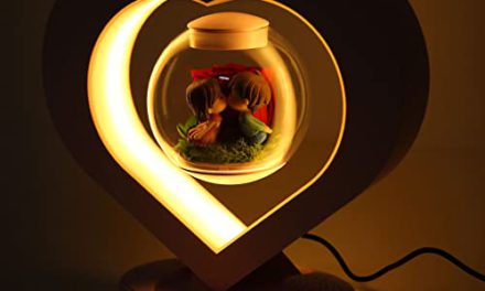 “Experience Magic: Levitating Heart Bluetooth Speaker”