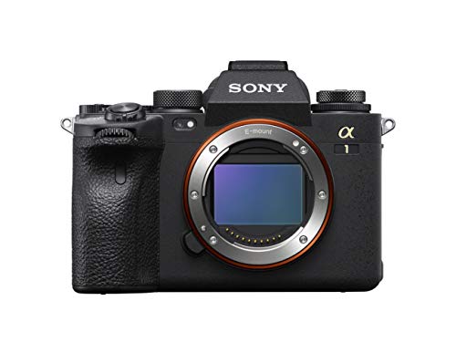 Capture Your World: Sony’s Alpha 1 Mirrorless Powerhouse