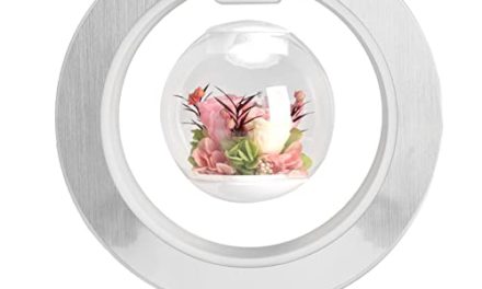 Levitate Your Tunes with Heayzoki’s Magnetic Speaker