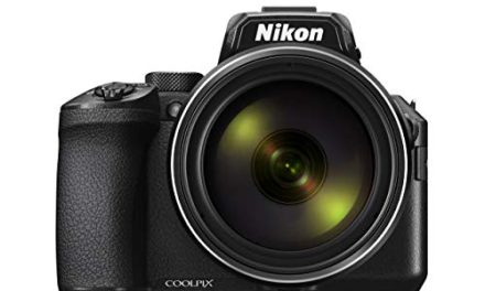 Capture the Moment: Nikon P950