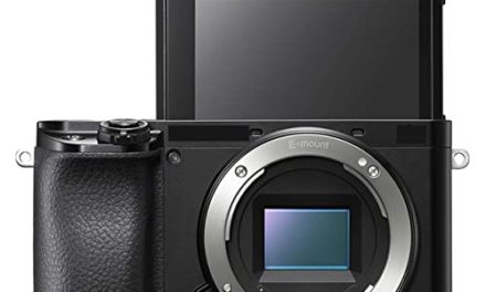 Capture Stunning Photos with DYOSEN A6100 Mirrorless Camera