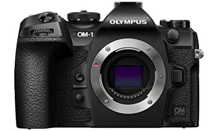 Capture Stunning Photos with OM System OM-1: 20MP BSI Sensor, Weather-Sealed, 5-Axis Stabilization