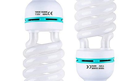 Supercharge Your Photos with Sizzling Dolphin Bulbs