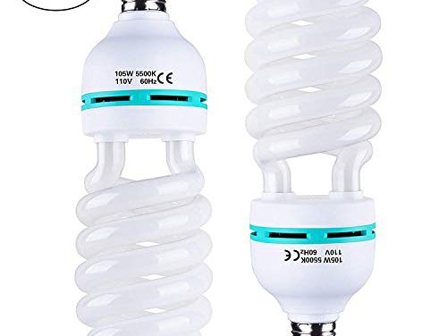 Supercharge Your Photos with Sizzling Dolphin Bulbs