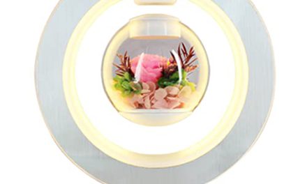 Levitating Magnetic Speaker: Float & Illuminate with 360° Rotation