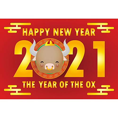 “Capture Festive Memories with DORCEV 10x8ft OX Backdrop”