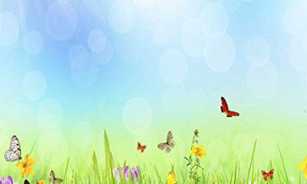 Shimmering Grass Butterfly Backdrop: Perfect for Weddings & Parties!