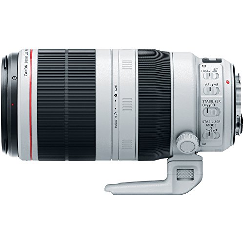 Capture stunning images with the Canon 100-400mm lens