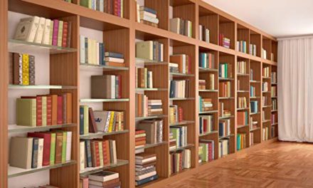 Capture Stunning Memories with Baocicco Wooden Bookshelf Backdrop!
