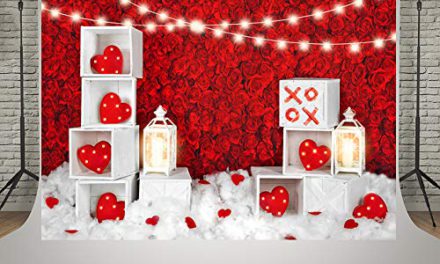 Valentine’s Day Loveheart Backdrops: Kate’s Red Rose Wall & Lighting