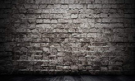 Captivating Vintage Brick Wall Photo Studio – Perfect for Birthday Parties