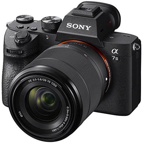 Capture the Moment with Sony a7 III Camera