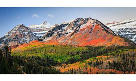 Capture Autumn’s Beauty with DORCEV’s Mountain Backdrop