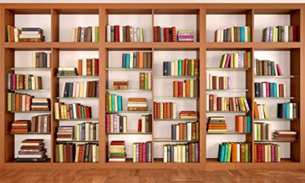 Capture the Magic: Enchanting Wooden Bookshelf Backdrop