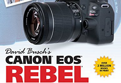 Master DSLR Photography with David Busch’s Canon EOS Rebel SL2/200D Guide