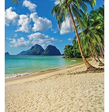 Capture the Magic of a Tropical Paradise: Funnytree Summer Beach Backdrop – 6×8 FT