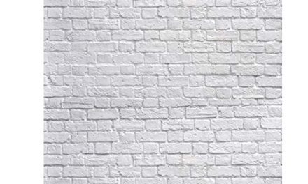 Capture the Essence: White Brick Photo Backdrop