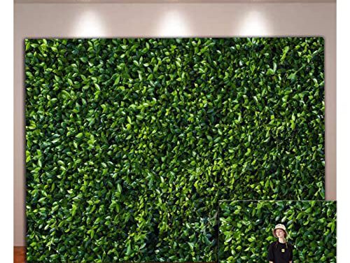 Vibrant Spring Backdrop: XLL Green Leaves Photography