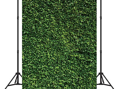 Vibrant Green Grass Backdrop for Memorable Events