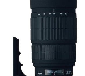 Capture Stunning Canon Shots with Sigma 120-300mm Telephoto Zoom Lens