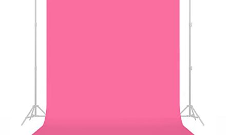 Vibrant Tulip Backdrop: Perfect for YouTube, Streaming & Interviews – USA Made