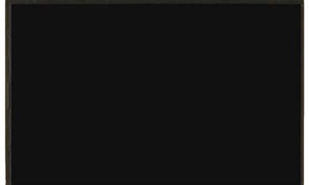 Enhance Asus MeMO Pad Smart 10: LCD + Glue Card