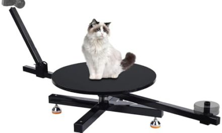 Capture Stunning 360° Shots: Rotating Camera Slider