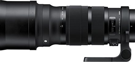 Capture the Thrill: Sigma 120-300mm F2.8 Lens for Nikon