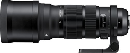 Capture the Thrill: Sigma 120-300mm F2.8 Lens for Nikon