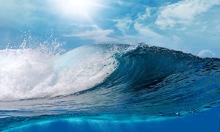 Capture Stunning Surf Wave Backdrop for Unforgettable Photos