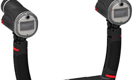 Dynamic Sea Dragon Flash Set