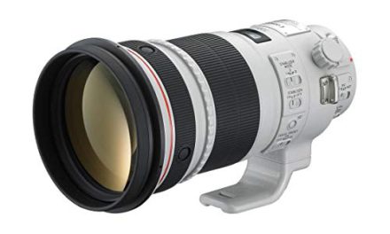 Capture Epic Shots with Canon’s Ultimate Super Telephoto Lens