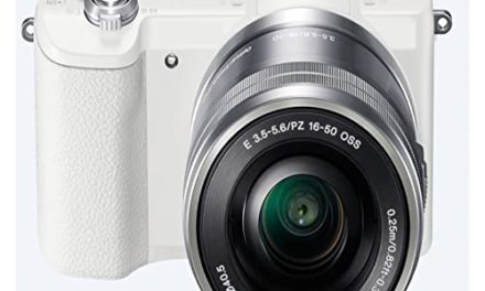 Capture Life’s Moments with the A5100 Mirrorless Camera