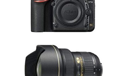 Capture Life’s Brilliance: Nikon D750 with AF-S NIKKOR 14-24mm