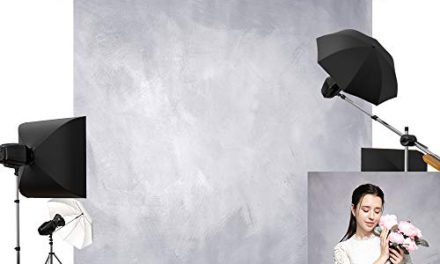 Enchanting Retro Abstract Studio Backdrop: Kate 10x10ft Light Grey & Purple