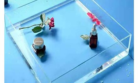 Capture Stunning Underwater Shots with Clear Acrylic Photography Tray