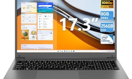 Powerful 17″ SGIN Laptop: 8GB RAM, 256GB SSD