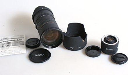 Superzoom Lens + Teleconverter: Sigma 50-500MM EF Mount