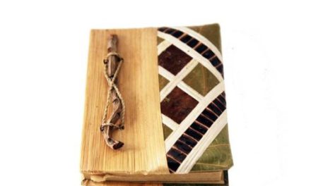 12-Pack of Mini Eco Agendas: Efficient & Sustainable