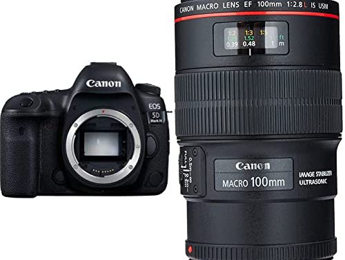 Capture Stunning Macro Shots with Canon 5D Mark IV + 100mm Lens!