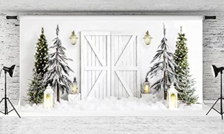 Capture Magical Winter Moments: Kate’s Enchanting 20x10ft Christmas Backdrop